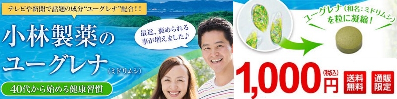 ���ѐ���̐Ί_���̃��[�O���i���T�C�g